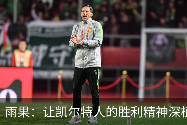 雨果：让凯尔特人的胜利精神深植于心